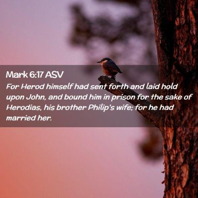 Picture 02 - Mark 6:17 ASV - For Herod himself had sent forth and laid hold - Bible Verse Picture