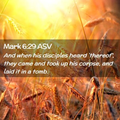 Picture 02 - Mark 6:29 ASV - And when his disciples heard `thereof', they came - Bible Verse Picture