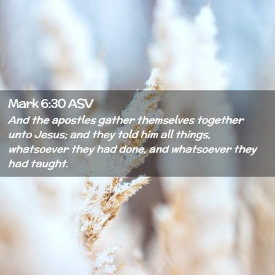 Picture 02 - Mark 6:30 ASV - And the apostles gather themselves together unto - Bible Verse Picture