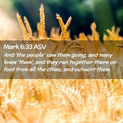 Picture 02 - Mark 6:33 ASV - And `the people' saw them going, and many knew - Bible Verse Picture