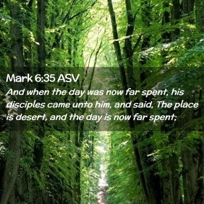 Picture 02 - Mark 6:35 ASV - And when the day was now far spent, his disciples - Bible Verse Picture