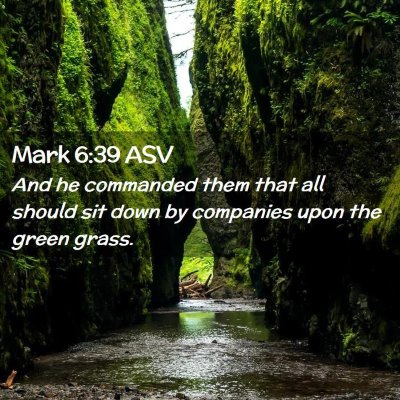 Picture 02 - Mark 6:39 ASV - And he commanded them that all should sit down by - Bible Verse Picture