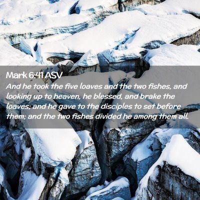 Picture 02 - Mark 6:41 ASV - And he took the five loaves and the two fishes, - Bible Verse Picture