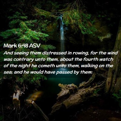 Picture 02 - Mark 6:48 ASV - And seeing them distressed in rowing, for the - Bible Verse Picture