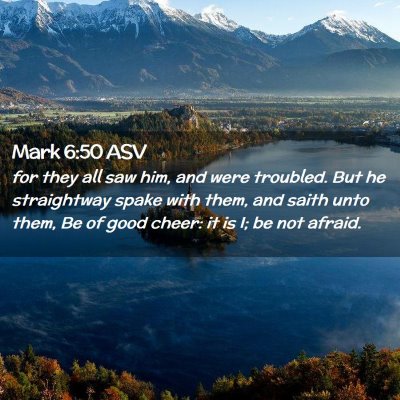 Picture 02 - Mark 6:50 ASV - for they all saw him, and were troubled. But he - Bible Verse Picture