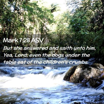 Picture 02 - Mark 7:28 ASV - But she answered and saith unto him, Yea, Lord; - Bible Verse Picture