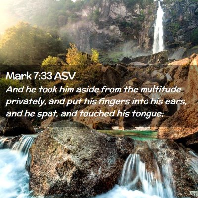 Picture 02 - Mark 7:33 ASV - And he took him aside from the multitude - Bible Verse Picture