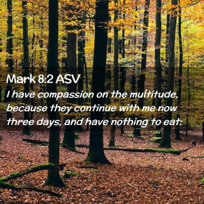 Picture 02 - Mark 8:2 ASV - I have compassion on the multitude, because they - Bible Verse Picture