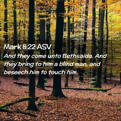 Picture 02 - Mark 8:22 ASV - And they come unto Bethsaida. And they bring to - Bible Verse Picture