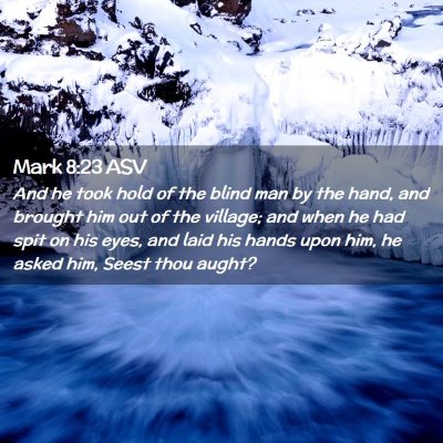 Picture 02 - Mark 8:23 ASV - And he took hold of the blind man by the hand, - Bible Verse Picture