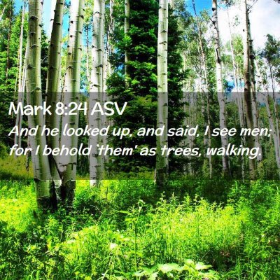 Picture 02 - Mark 8:24 ASV - And he looked up, and said, I see men; for I - Bible Verse Picture