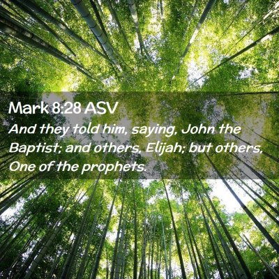 Picture 02 - Mark 8:28 ASV - And they told him, saying, John the Baptist; and - Bible Verse Picture