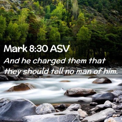 Picture 02 - Mark 8:30 ASV - And he charged them that they should tell no man - Bible Verse Picture
