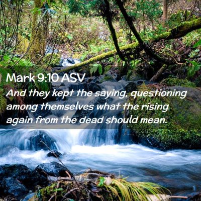 Picture 02 - Mark 9:10 ASV - And they kept the saying, questioning among - Bible Verse Picture