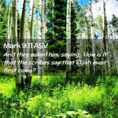 Picture 02 - Mark 9:11 ASV - And they asked him, saying, `How is it' that the - Bible Verse Picture