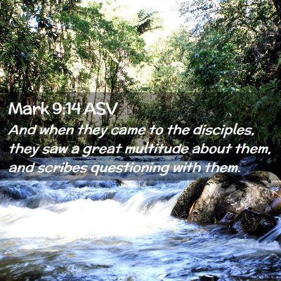 Picture 02 - Mark 9:14 ASV - And when they came to the disciples, they saw a - Bible Verse Picture