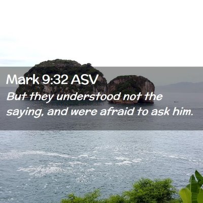 Picture 02 - Mark 9:32 ASV - But they understood not the saying, and were - Bible Verse Picture