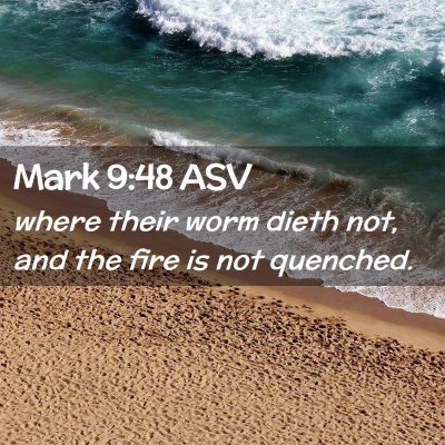 Picture 02 - Mark 9:48 ASV - where their worm dieth not, and the fire is not - Bible Verse Picture