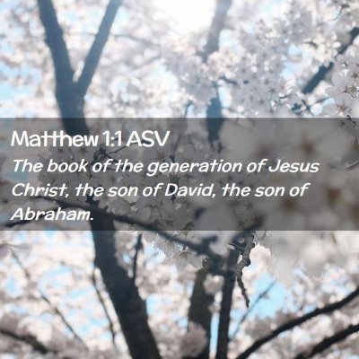 Picture 02 - Matthew 1:1 ASV - The book of the generation of Jesus Christ, the - Bible Verse Picture