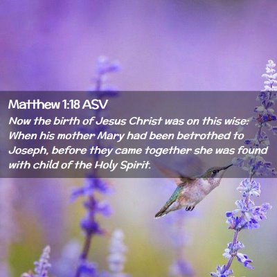 Picture 02 - Matthew 1:18 ASV - Now the birth of Jesus Christ was on this wise: - Bible Verse Picture