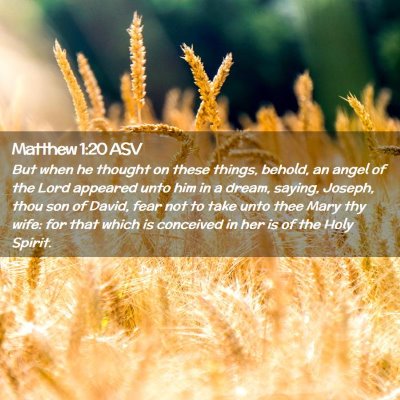 Picture 02 - Matthew 1:20 ASV - But when he thought on these things, behold, an - Bible Verse Picture