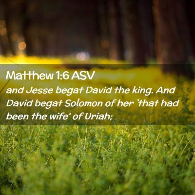 Picture 02 - Matthew 1:6 ASV - and Jesse begat David the king. And David begat - Bible Verse Picture