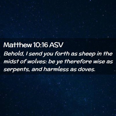 Picture 02 - Matthew 10:16 ASV - Behold, I send you forth as sheep in the midst of - Bible Verse Picture