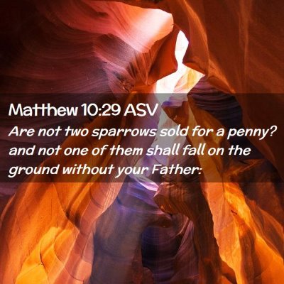 Picture 02 - Matthew 10:29 ASV - Are not two sparrows sold for a penny? and not - Bible Verse Picture