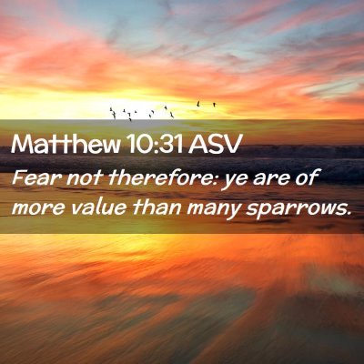 Picture 02 - Matthew 10:31 ASV - Fear not therefore: ye are of more value than - Bible Verse Picture