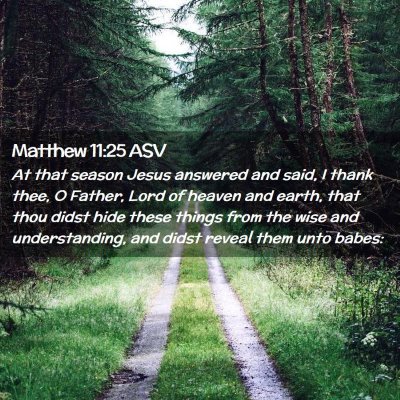 Picture 02 - Matthew 11:25 ASV - At that season Jesus answered and said, I thank - Bible Verse Picture