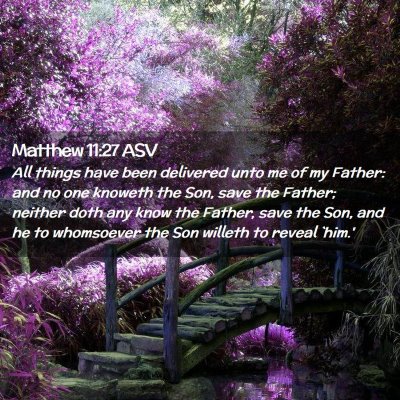 Picture 02 - Matthew 11:27 ASV - All things have been delivered unto me of my - Bible Verse Picture