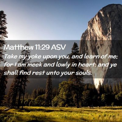Picture 02 - Matthew 11:29 ASV - Take my yoke upon you, and learn of me; for I am - Bible Verse Picture