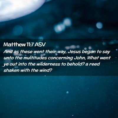 Picture 02 - Matthew 11:7 ASV - And as these went their way, Jesus began to say - Bible Verse Picture