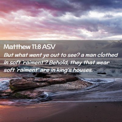 Picture 02 - Matthew 11:8 ASV - But what went ye out to see? a man clothed in - Bible Verse Picture