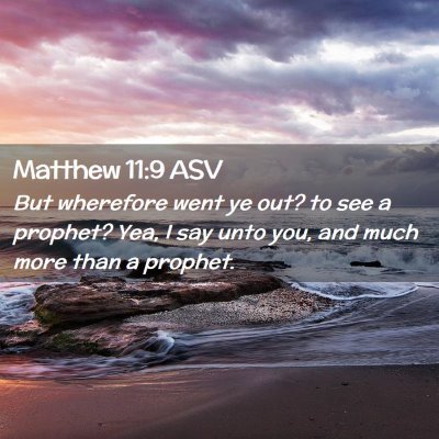 Picture 02 - Matthew 11:9 ASV - But wherefore went ye out? to see a prophet? Yea, - Bible Verse Picture