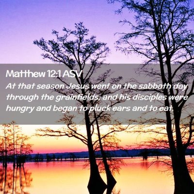 Picture 02 - Matthew 12:1 ASV - At that season Jesus went on the sabbath day - Bible Verse Picture