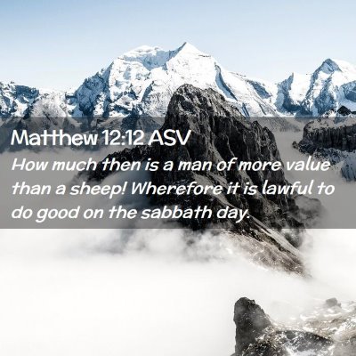 Picture 02 - Matthew 12:12 ASV - How much then is a man of more value than a - Bible Verse Picture