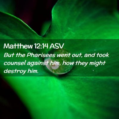 Picture 02 - Matthew 12:14 ASV - But the Pharisees went out, and took counsel - Bible Verse Picture