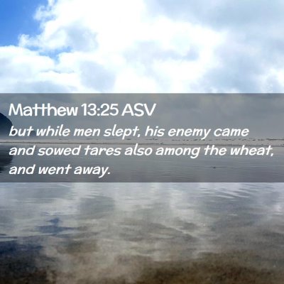 Picture 02 - Matthew 13:25 ASV - but while men slept, his enemy came and sowed - Bible Verse Picture