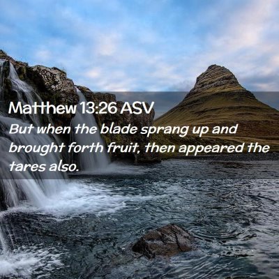 Picture 02 - Matthew 13:26 ASV - But when the blade sprang up and brought forth - Bible Verse Picture