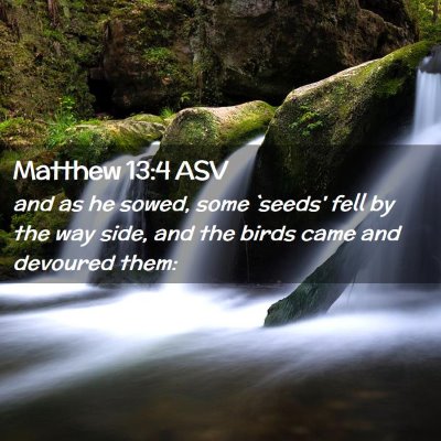 Picture 02 - Matthew 13:4 ASV - and as he sowed, some `seeds' fell by the way - Bible Verse Picture