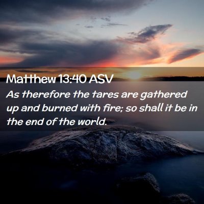 Picture 02 - Matthew 13:40 ASV - As therefore the tares are gathered up and burned - Bible Verse Picture