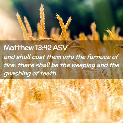 Picture 02 - Matthew 13:42 ASV - and shall cast them into the furnace of fire: - Bible Verse Picture