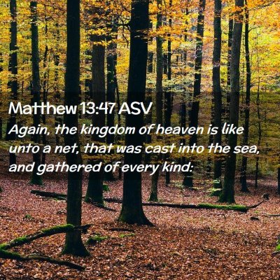 Picture 02 - Matthew 13:47 ASV - Again, the kingdom of heaven is like unto a net, - Bible Verse Picture