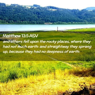 Picture 02 - Matthew 13:5 ASV - and others fell upon the rocky places, where they - Bible Verse Picture
