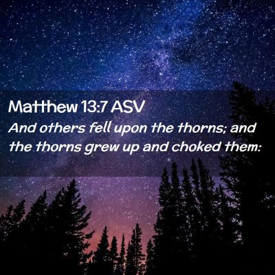 Picture 02 - Matthew 13:7 ASV - And others fell upon the thorns; and the thorns - Bible Verse Picture