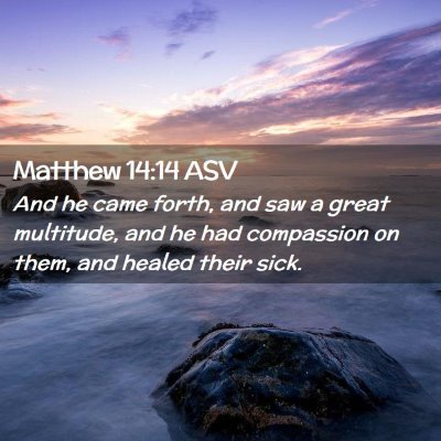 Picture 02 - Matthew 14:14 ASV - And he came forth, and saw a great multitude, and - Bible Verse Picture