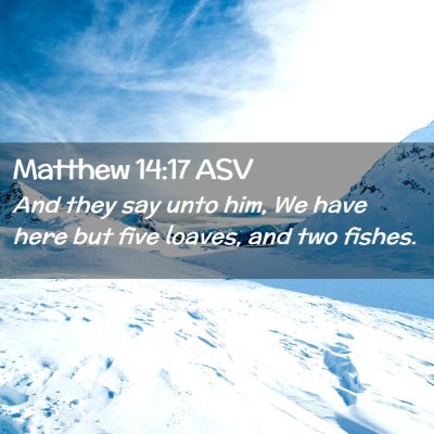 Picture 02 - Matthew 14:17 ASV - And they say unto him, We have here but five - Bible Verse Picture