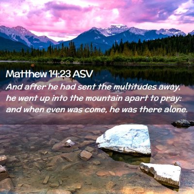 Picture 02 - Matthew 14:23 ASV - And after he had sent the multitudes away, he - Bible Verse Picture