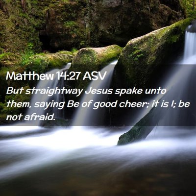 Picture 02 - Matthew 14:27 ASV - But straightway Jesus spake unto them, saying Be - Bible Verse Picture